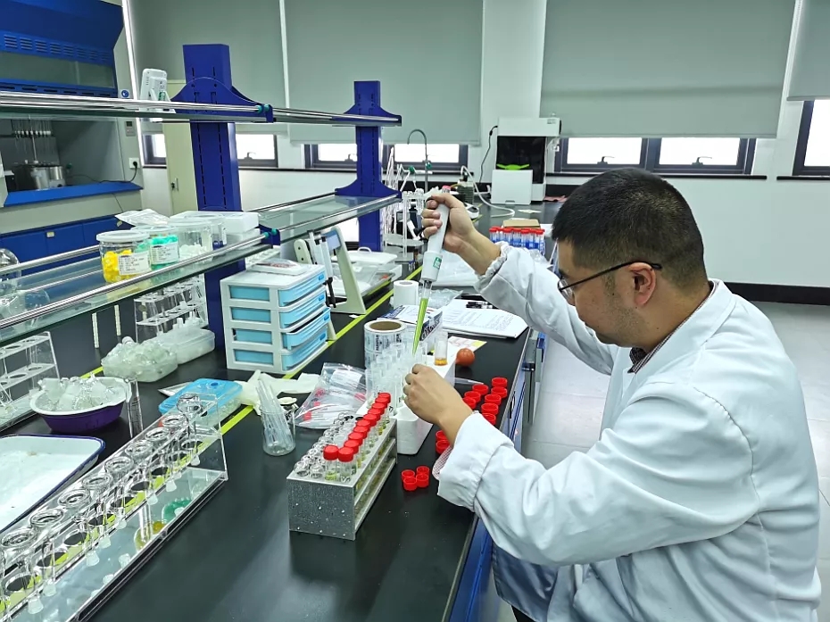 640.webp.jpg 640.webp.jpg